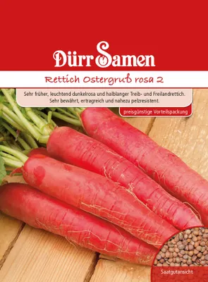 Produktbild von Rettich Ostergruß 2 rosa | Rettichsamen von Dürr Samen