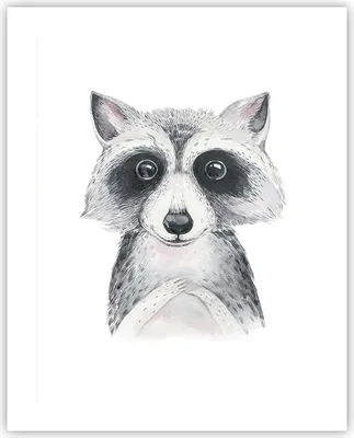 Produktbild von Poster - Poster ohne Rahmen - Waschbär Bild Kinder - 40x50 cm - Wand Bild - Wanddeko - Wandbilder - Kunstposter - Wandposter - Bilder - Kunstdruck - Wanddekoration - Wandbild - P2XPA40x50-4607