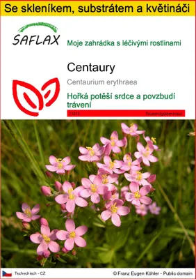 Obrázek produktu pro SAFLAX Kultivační sada - Centaury - Centaurium erythraea - 250 Semena - S mini skleníkem, pěstebním substrátem a 2 květináči