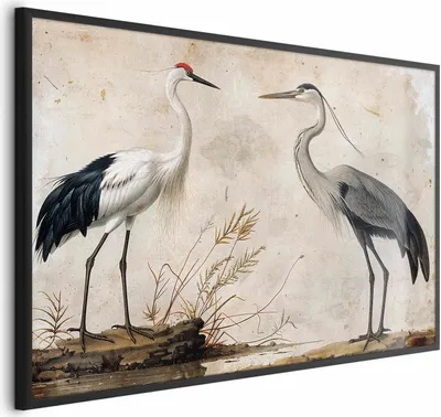 Produktbild von Posterpapier Poster - Birds from an Old Engraving - vintage-style illustration of a heron and a crane 60x40 cm Tiere g-C-10156-ao-a