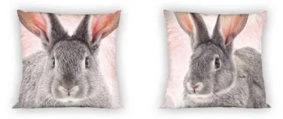 Produktbild von Kissen Kuschelkissen Dekokissen mit Hase Kaninchen 40 x 40 cm