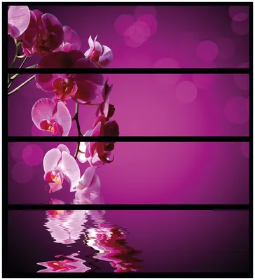 Produktbild von Wallario Möbelfolie / Aufkleber, geeignet für Ikea Malm Kommode mit 4 Schubfächern - Rosafarbene Orchidee, Blüten in pink