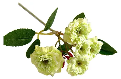 Produktbild von Künstliche Rosen, 6 künstliche Seidenrosen, realistische Blüten, ideal für Zuhause, Hochzeiten, Partys, als Tischdekoration.