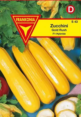 Produktbild von Zucchini Gold Rush F1
