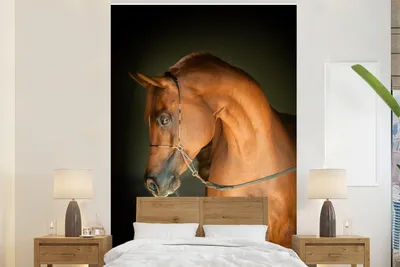 Produktbild von MuchoWow® Fototapete für Wohnzimmer oder Schlafzimmer Wandtapete Vinyl Motivtapete Pferd - Braun - Schwarz - 200x300 cm - Wanddekorationen