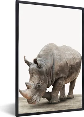 Produktbild von MuchoWow® Gerahmtes Poster Nashorn - Jungen - Wildtiere - Kinder - Mädchen - Tiere 40x60 cm - Poster mit Schwarzem Bilderrahmen Wandposter Rahmen Foto Bilder - Papierdruck - Wandbilder