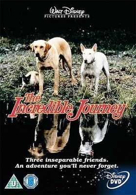 Produktbild von The Incredible Journey [UK Import]