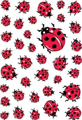 Produktbild von HERMA Sticker DECOR "Marienkäfer" 3 Blatt à 37 Sticker