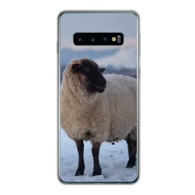 Produktbild von MuchoWow® Handyhülle Schutzhülle Hülle für Samsung Galaxy S10 Schaf - Schnee - Berg Silikon Softcase Handy Hülle - Handytasche