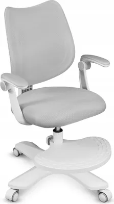 Image de Mark Adler Junior 4.6 | Chaise de bureau pour enfants Chaise tournante ergonomique pour enfants | Repose-pieds | Réglage de la profondeur d'assise | Accoudoirs réglables | Gris