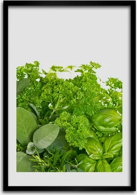 Produktbild von Bild - Bilderrahmen - Foto - 70 cm x 100 cm - MDF - Rahmen - Wandkunst - Kräuter