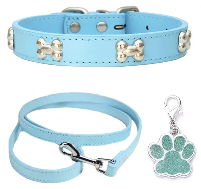 Produktbild von Verstellbares Hundehalsband und Leinen-Set für kleine und mittelgroße Hunde