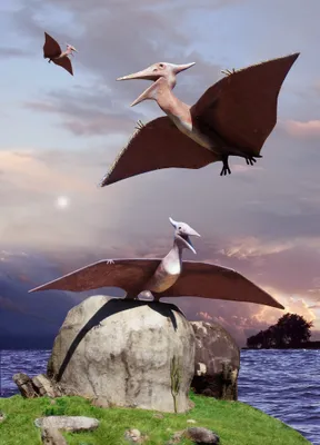 Produktbild von 3 D Ansichtskarte Flugdinos, Postkarte Wackelkarte Hologrammkarte Dinosaurier Pteranodon