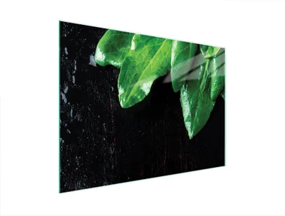 Immagine prodotto di Tagliere in vetro 40x30 basilico