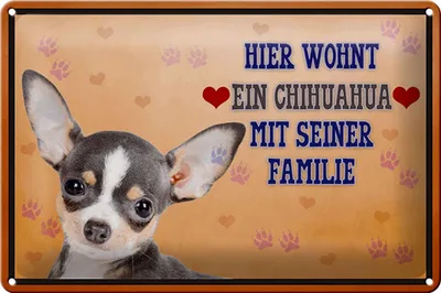 Produktbild von Blechschild Spruch 30x20cm Hund hier wohnt ein Chihuahua