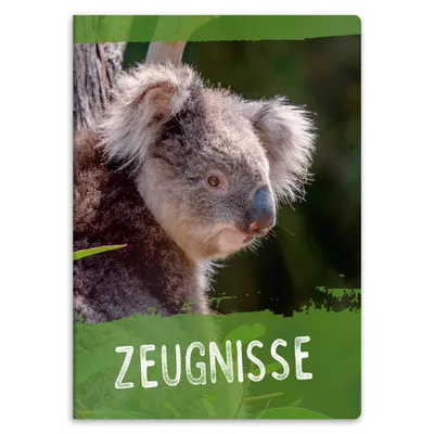 Produktbild von itenga Zeugnismappe A4 Kunststoff Sichtbuch Motiv Koala