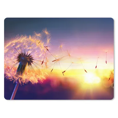 Produktbild von MuchoWow® Mauspad Mousepad Löwenzahn - Blumen - Sonnenuntergang - Horizont - Nacht 23x19 cm - Mousepads - Maus Mat - Pad - Mausunterlage - Schreibtischunterlage - Mauspad
