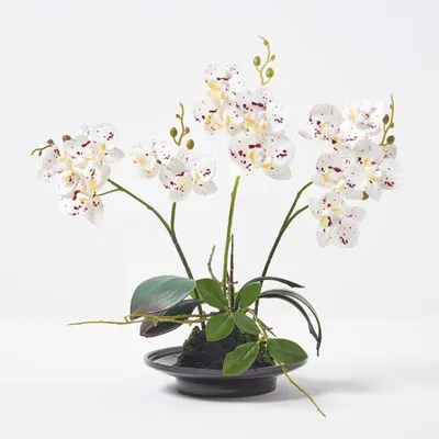 Produktbild von Famanu Kunstorchidee mit weißen Blumen - 38 cm hoch