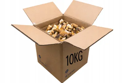 Zdjęcie produktu dla Borowiki Borowik Prawdziwek Grzyby Krojone Mrożone Cold Pack 10Kg Worki