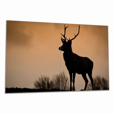 Produktbild von Wallario Herdabdeckplatte aus Glas, Größe 80 x 52 cm 2-teilig, Motiv Rothirsch am Abend
