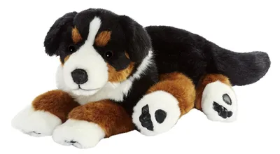 Produktbild von Anima - 1648 - Berner Sennenhund, Plüsch, 42cm