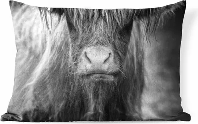 Produktbild von MuchoWow® Outdoor Kissen - Schottisches Hochlandrind - Kuhkopf - Schwarz und Weiß - 60x40 cm - Wetterfest - Lounge Kissen - Zierkissen - Kissen für Innenräume