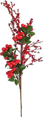 Obrázok produktu pre Vetva s bobuľami 60 cm