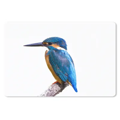 Produktbild von MuchoWow® Schreibtischunterlage Eisvogel - Federn - Zweig - Blau 60x40 cm - XXL Mauspad - Großes Mauspad