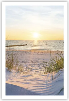 Produktbild von Poster - Poster ohne Rahmen - Düne Strand Meer - 61x91,5 cm - Wand Bild - Wanddeko - Wandbilder - Kunstposter - Wandposter - Bilder - Kunstdruck - Wanddekoration - Wandbild - P2XPA61x91-3989