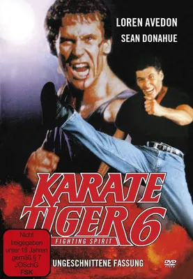 Produktbild von Karate Tiger 6 - Fighting Spirit - 375 Media - (DVD Video / Eastern)