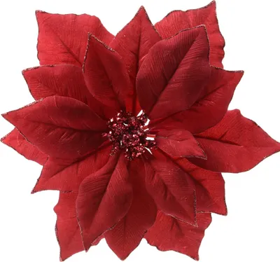 Produktbild von Weihnachtsstern Blume auf Clip 24cm rot