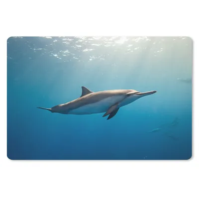 Produktbild von MuchoWow® Mauspad Mousepad Delfin - Meer - Sonne 27x18 cm - Mousepads - Maus Mat - Pad - Mausunterlage - Büroartikel - Desk Matten