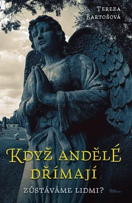 Obrázek produktu pro Když andělé dřímají