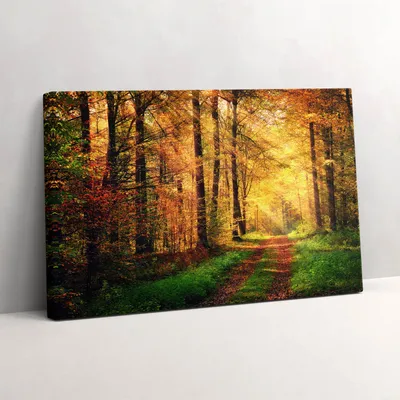 Produktbild von Herbst Waldlandschaft – Leinwandbild Wandbild – 60x40 cm – Leinwandbilder – Wandbilder – Schlafzimmer – Flur