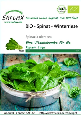 Productafbeelding van SAFLAX - - Spinazie - Wintervariëteit - 250 zaden - Spinacia oleracea