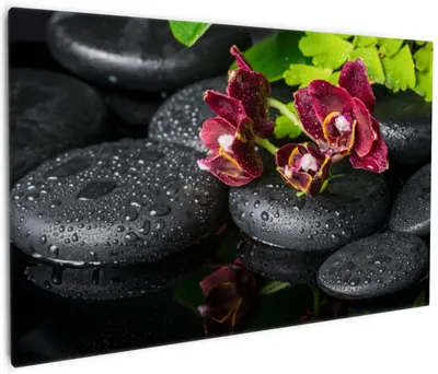 Produktbild von Wallario Premium Leinwandbild Dunkelrote Orchideen-Blüte auf schwarzen Steinen mit Regentropfen in Größe 60 x 90 cm