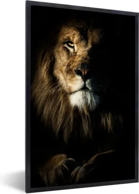 Produktbild von MuchoWow® Gerahmtes Poster Löwe - Licht - Porträt 20x30 cm - Poster mit Schwarzem Bilderrahmen Wandposter Rahmen Foto Bilder - Drucken - Bilder Poster im Rahmen
