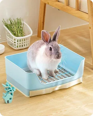 Image de Toilettes d'angle pour petits animaux, bleues, grandes, amovibles