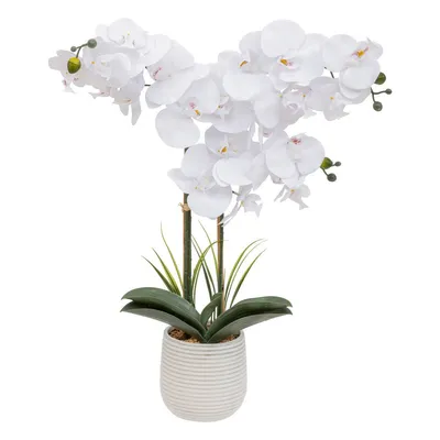 Produktbild von Atmosphera Kunstliche Pflanze Orchidee - weise Bluten - im Topf - 60 cm
