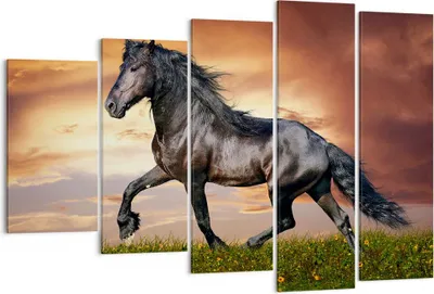 Produktbild von Bild auf Leinwand - Leinwandbild - Pferd Tier Wiese - 150x100cm - Wand Bild - Wanddeko - Leinwanddruck - Bilder - Kunstdruck - Wanddekoration - Leinwand bilder - Wandkunst - EG150x100-2608