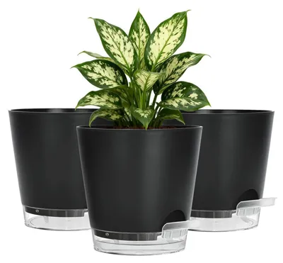 Produktbild von Blumentöpfe mit Selbstbewässerung 15cm Schwarz 3er Set Plastik mit Bewässerungskern