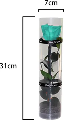 Produktbild von Eine echte konservierte Rose, eine ewig haltbare Rose, eine langlebige Rose, eine ewig blühende Rose