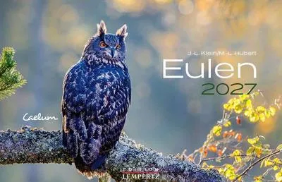 Obrázek produktu pro Kalendář sov 2027