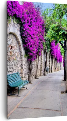Produktbild von Bild auf Leinwand - Leinwandbild - Pflanzen Bank Straße Sommer - 45x80cm - Wand Bild - Wanddeko - Leinwanddruck - Bilder - Kunstdruck - Wanddekoration - Leinwand bilder - Wandkunst - PA45x80-2790