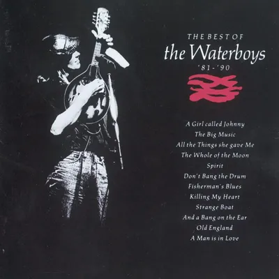 Obrázek produktu pro The Waterboys: The Best Of The Waterboys 81 - 90