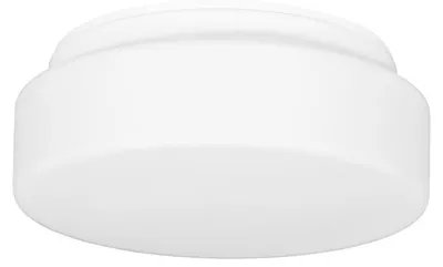 Productafbeelding van Plafondlamp Ecolite W122/B-BI Hector 1xE27-24-5cm-IP44