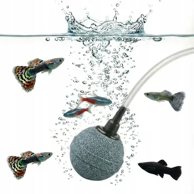 Immagine prodotto di Pietra decorativa per acquario con diffusore d'aria, diametro 3 cm, per tubo da 4/6 mm, grigia