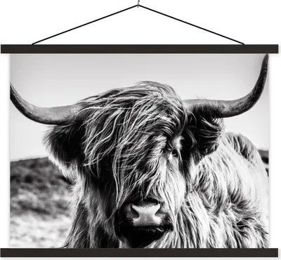 Produktbild von MuchoWow® Textilposter Kuh - Schottisches Hochlandrind - Schwarz - Weiß - Tier - Natur - Wildtiere 40x30 cm mit schwarzem Rahmen - Dekorationen