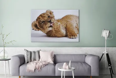 Produktbild von MuchoWow® - Leinwandbilder - Löwe - Weiß - Tiere, Wandbild, Wanddeko Bilder Wohnzimmer, 120x80 cm