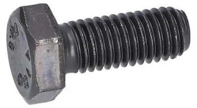 Immagine prodotto di Vite testa esagonale per Tosaerba BOSCH PROFESSIONAL - 160343509G